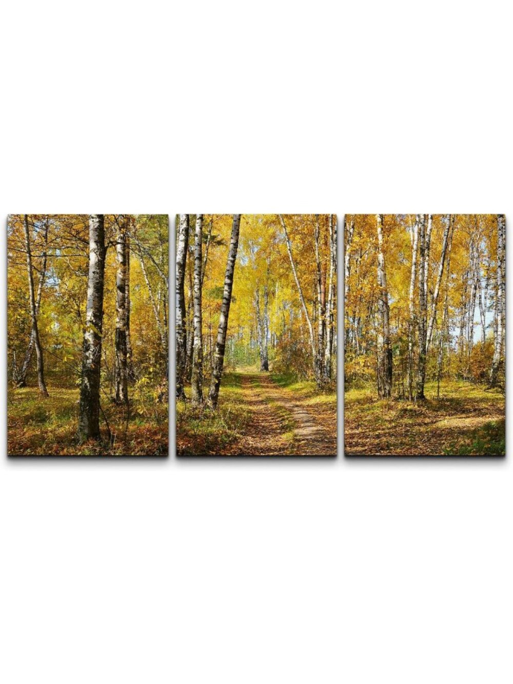 3 Piece Canvas Wall Art Set - Autumn Birch Grove Forest - Modern Framed Decor